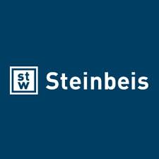 Steinbeis Kurzberatung